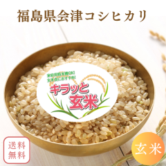 ���I���� ���� 10kg ��������ÎY�R�V�q�J�� �� ���� 10kg�~1�� �ߘa7�N�Y �������� �L���b�ƌ��� �� 10�L�� ���� 10�L�� �����Ђ��� ��