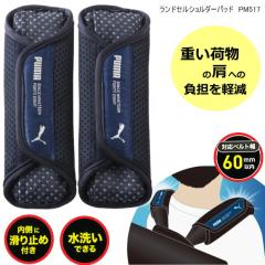 リプルーグル リビングストン型 地球儀（日本語版）/照明付・山岳隆起
