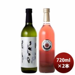江戸開城 純米吟醸原酒 山田錦＆東京梅酒 各1本セット