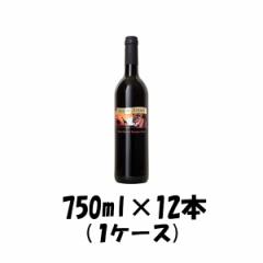 Ε ԃC TEIuEAtJ  750ml 12{ 1P[X wine Ε Mtg ̓