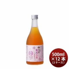 Ε  ґ~ 500ml ~ 2P[X / 12{ Ε Mtg ̓