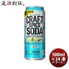 缶チューハイ サッポロ クラフトスパイスソーダ 500ml × 1ケース / 24本 チューハイ 缶 スピリッツ チューハイ 人気 贈り物 プレゼント