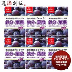 養命酒製造 グミ×サプリ 鉄分＆葉酸 40g ｘ 6個