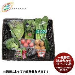 大田市場直送 一般野菜詰め合わせ 11～12品 季節野菜 大治 ギフト 父親 誕生日 プレゼント ギフト包装・のし不可 のし・ギフト対応不可