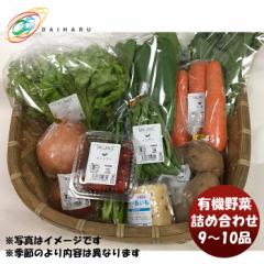 大田市場直送 有機野菜詰め合わせ 9～10品 季節野菜 大治 ギフト 父親 誕生日 プレゼント ギフト包装・のし不可 のし・ギフト対応不可
