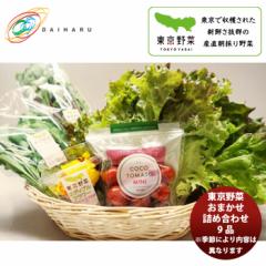 大治 東京野菜おまかせ産直 9品セット 大田市場直送 こだわり 厳選 野菜セット 新鮮  のし・ギフト対応不可