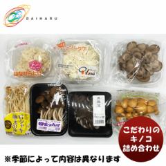 大治 こだわりのキノコ詰め合わせ 大田市場 直送 新鮮 旬 おすすめ セット 贈り物 パーティ  のし・ギフト対応不可