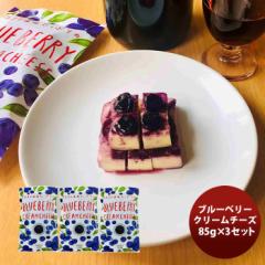三原食品 ブルーベリークリームチーズ ３パックセット  のし・ギフト対応不可