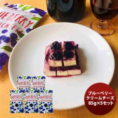 三原食品 ブルーベリークリームチーズ ５パックセット  のし・ギフト対応不可