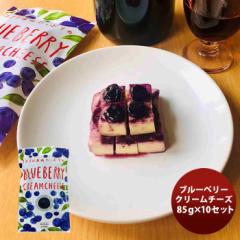 三原食品 ブルーベリークリームチーズ １０パックセット  のし・ギフト対応不可