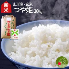 �_�����A���͂���! �V�ā^ �ߘa7�N�Y ��P ���� 30kg �R�`���Y ���ʍ͔|�� ���_�� �����w�엿  �ꓙ�� �M�t�g �V�������� ���`��  �M�t