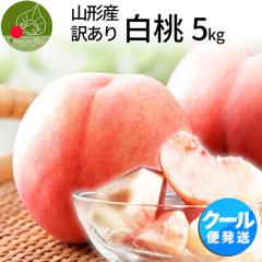 �y2026�N8�����{���� ��s�\��z �󂠂� ���� 5kg�i16�`22�ʑO��j �R�`���Y �N�[���� �����p �������� �R�`�̔��������� �R�`�̓� ����