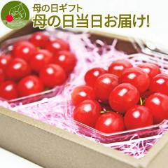 �y��̓� �M�t�g ���Ȃ瓖�����͂�!�z �������� �R�`���Y ������ L�� 100g�~2�� ���ϔ��� �_�C���p�b�N �����͔| �Y�n���� ��l��