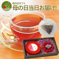 �y��̓� �M�t�g ���Ȃ瓖�����͂�!�z �������� ������ �G�i �l�� 100g �� �������ڍg�� �T�� ���� ���ϔ��� �v���[���g �Y�n���� ��