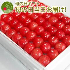 �y��̓� �M�t�g ���Ȃ瓖�����͂�!�z �������� ������ ���G �k�� ���l�� 300g �M�t�g �R�`������Y�n���� ���ϔ��� �v���[���g �Y�n��