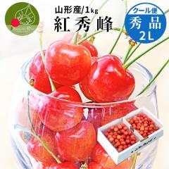 �y2026�N6�����{���� ��s�\��z �������� �g�G�� �G�i 2L�� 1kg (500g�~2) �R�`���Y �Y�n���� ���ϔ��� ������ �M�t�g �����т̎� ��