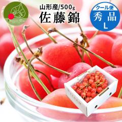 �_2026�N6�����{���� ��s�\��^ �������� ������ �G�i L�� 500g �N�[���� �R�`���Y �Y�n���� �M�t�g �̂� �t���[�c �l�C �������� ��