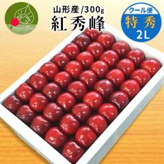 �y2026�N6�����{���� ��s�\��z �������� �g�G�� ���G �Q�k�� 300g ���l�� �R�`���Y �Y�n���� �M�t�g �����i�Ƃ��Đl�C�ł� ���ϔ��� 