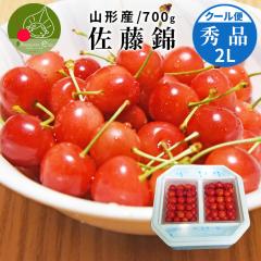 �y2026�N6�����{���� ��s�����z�������� ������ �G�i 2�k�� 700g���i350g�~2�j �R�`�� �����s �Y�n�����@�嗱 �M�t�g ���A�M�t�g �ۗ�