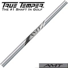 �y5-PW/6�{�Z�b�g�z�g�D���[�e���p�[ TRUE TEMPER 2025�N���f�� AMT SILVER AMT�V���o�[ ���{�d�l
