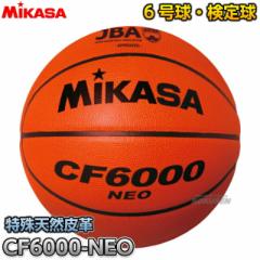 y~JTEMIKASA oXPbg{[z oXPbg{[6 苅 CF6000-NEO