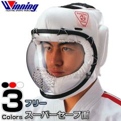 ss1-g1s.jpg