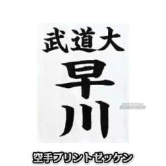 ��� ���p�[�b�P���@RT6�i����N��蒅�̂ݑΉ��j  ���� ��蓹��