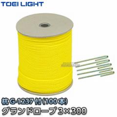 TOEI LIGHT�E�g�[�G�C���C�g  �O�����h���[�v3�~300�@���@G-1169�iG1169�j   �O���E���h���[�v ���[�v�}�[�J�[ �^���� �W�X�^�X XYSTUS