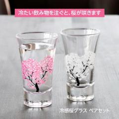 �ۃ����ؓ��� �O���X �� �F���ς��O���X �⊴�O���X �⊴�� �V�J�O���X 2�Z�b�g �y�A�O���X 100ml�~2 ���{��