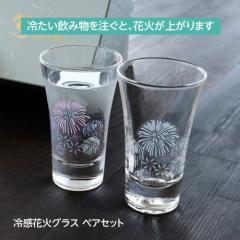 �ۃ����ؓ��� �O���X �ԉ� �F���ς��O���X �⊴�O���X �⊴�ԉ� �V�J�O���X 2�Z�b�g �y�A�O���X 100ml�~2 ���{��