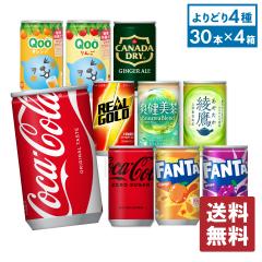 �\�t�g�h�����N �W���[�X �R�J�E�R�[�� �~�j�� �I�ׂ� 160ml �� 30�{����~4�P�[�X�y���������z