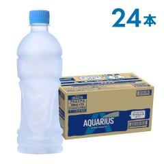 ANGAX xX 500mlPET~24{