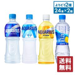 MǑ΍ ANGAX 500mlPET~24{e Iׂ2yz