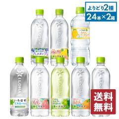   Y_ ͂ e 515`540mlPET~24{ Iׂ2@v48{ yz 