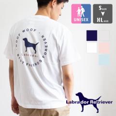 u Labrador Retriever uh[go[ v ʒ obNvg TVc 2322-506JNSRL2 / Labrador Retriever uh[