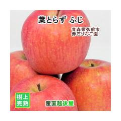 �y���Ε�z �X���O�O�s �Ԑ΂�񂲉� �X��� �t�Ƃ炸�ӂ� 2.5kg�i6�ʁ`10�ʁj�ʏ�i ���Ԍ��� ���㊮�n��� ���������y�����S 