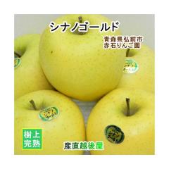 �y���Ε�z �X���O�O�s �Ԑ΂�񂲉� �X��� �V�i�m�S�[���h 2.5kg �i6�ʁ`10�ʁj�ʏ�i ���Ԍ��� ���㊮�n��� ���������y����