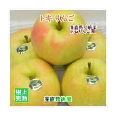 �y���Ε�z �X���O�O�s �Ԑ΂�񂲉� �X��� �g�L 5kg�i14�ʁ`22�ʁj�ʏ�i ���Ԍ��� ���㊮�n��� ���������y�����S �ʕ� ����