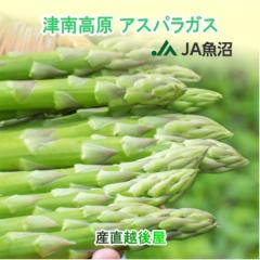 ���̂� �V�N �A�X�p���K�X �V���� JA�����_�� ���̂肽�� �Ó썂���Y �A�X�p���K�X ALA�T�C�Y150g10�����v1.5kg �N�[���� ��������