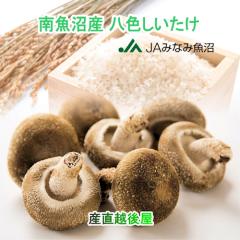 �y���Ε�z �������� ���F�������� �싛���Y �V���� �싛�� JA�݂Ȃ݋����_�� �싛���Y ���F�������� 1kg���� ���������y�M�t�g ���蕨 