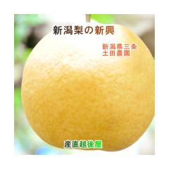 �y���Ε�z �V���� ���͔|�ʎ��� �y�c�_�� �L�@�엿�͔| �V���� �ƒ�p 10kg(14�`18�j���㊮�n�� ���������y�Ȃ� �����i �M�t�g �v��