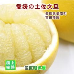 ���Q�� ���쒬 �݂���ʎ��� �g�c�_�� ���㊮�n�͔| �g�c�̓y�����U 4kg���� �̂肽�Ă�_������Y�n���� ���������y�~�J�� �ʎ� �M�t�g 