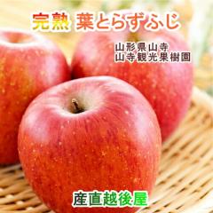 �y���Ε�z �R���ό��ʎ��� �R�`���Y ���n �t��炸�ӂ���� 10kg 4L�`5�k�i��36�j���������y�ʕ� �M�t�g �O�����z