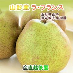 �y���Ε�z �R���ό��ʎ��� �R�`���Y �������E�t�����X 3L 3kg�i9�`10�j�����i ���������y�ʕ� �M�t�g �O�����z