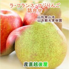 �y���Ε�z �R���ό��ʎ��� �R�`���Y �������E�t�����X �t��炸�ӂ���� �l���� 3kg�i9�j���������y�ʕ� �M�t�g �O�����z