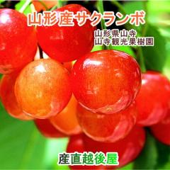 �R���ό��ʎ��� ���㊮�n�������� ������  �o���l�� 700g ���ʌ���̔� �N�[���� ���������y�ʕ� �����i �M�t�g �v���[���g�z