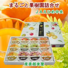 �y���Ε�z ���Q���̔_�� JA���Ђߒ��� �܂邲�Ɖʎ����l���� �t���[�c�[���[ 120��12�� ���ϔ� ���������y�t���[�c ���k�� �[���[ �M�t