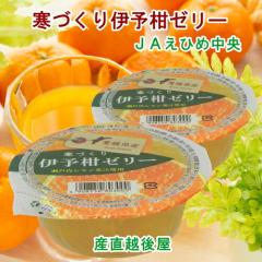 �y���Ε�z ���Q���̔_�� JA���Ђߒ��� ���Q�̉ʎ� �ɗ\���J�b�v�[���[ ���Â���ɗ\���[���[155�� 30�� ���������y�t���[�c ���k�� �[