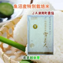 �y���Ε�z �ߘa�V�N�Y �V�� �����Ђ��� �����Y �V���� ���`�n�� ������ JA�����_�� �����Y �R�V�q�J��30kg ����l ���ʍ͔|�� ��������