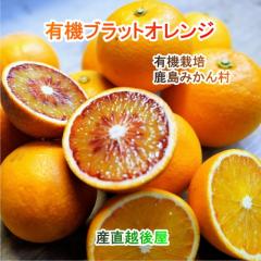 ���ꌧ �����s �L�@�݂��񍲓��_��L�@�v���b�g�I�����W 5kg�̂肽�Ă�_������Y�n���� ���������y�~�J�� �ʎ� �M�t�g ���_��͔|�z